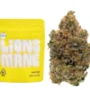 Lions Mane Strain | Cookies