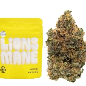 Lions Mane Strain | Cookies