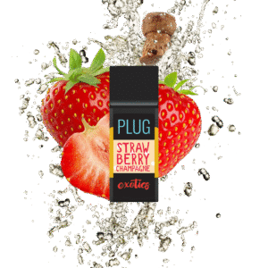 STRAWBERRY CHAMPAGNE